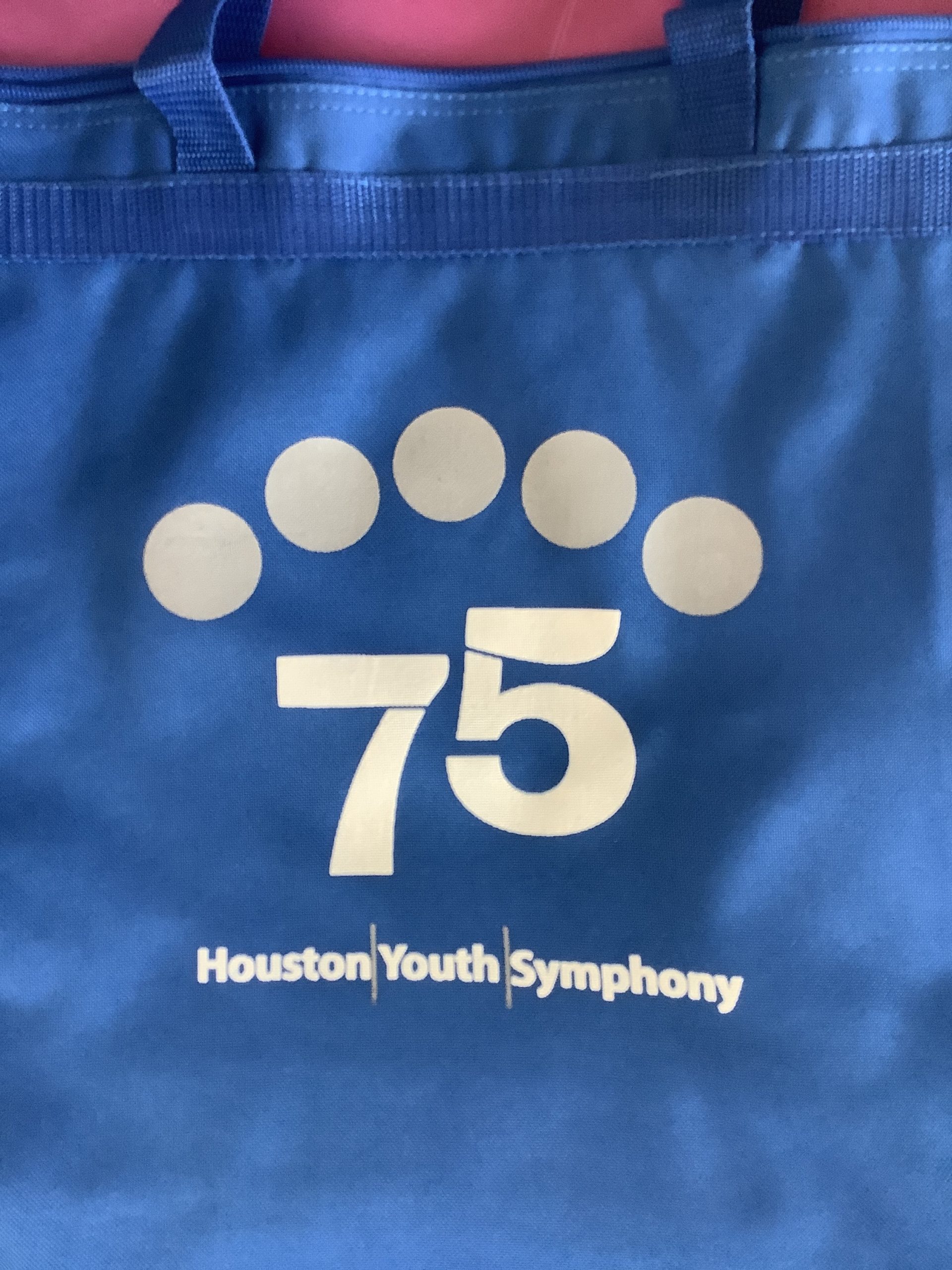 Space City Houston Texas Tote Bag — The Heritage Society